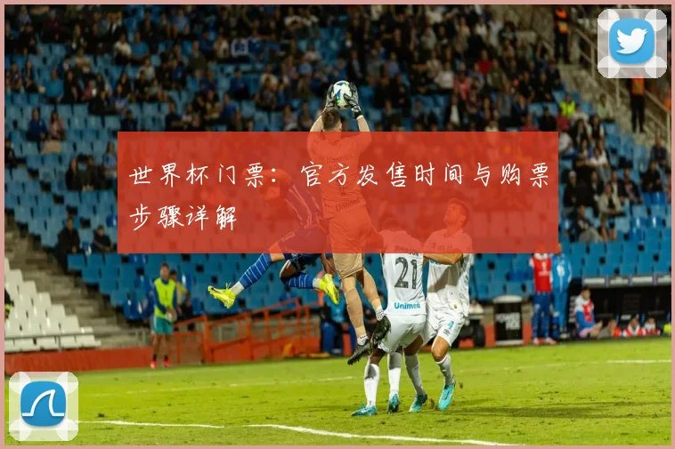 世界杯门票:官方发售时间与购票步骤详解